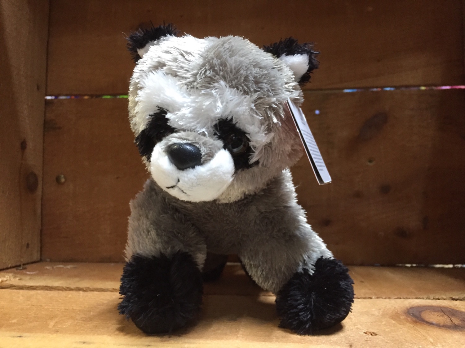 7” Rascal the Raccoon Aurora Brand Plush Stuffed Animal - Williamson Farms  Country Store